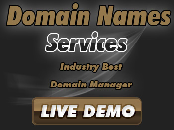 Half-priced domain name registration service providers